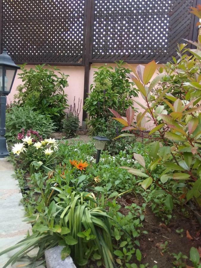 My Home Apartments 1 Limenas  Bagian luar foto