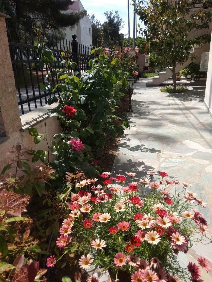 My Home Apartments 1 Limenas  Bagian luar foto